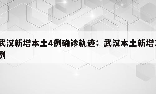 武汉新增本土4例确诊轨迹；武汉本土新增3例