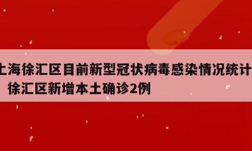 上海徐汇区目前新型冠状病毒感染情况统计?；徐汇区新增本土确诊2例