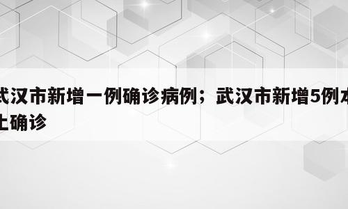 武汉市新增一例确诊病例；武汉市新增5例本土确诊