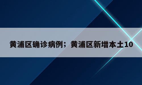 黄浦区确诊病例；黄浦区新增本土10
