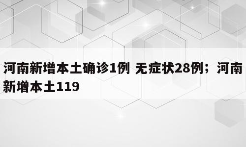 河南新增本土确诊1例 无症状28例；河南新增本土119