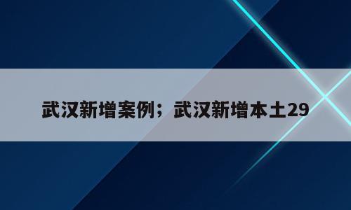 武汉新增案例；武汉新增本土29