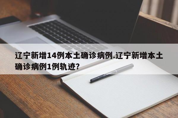 沈阳新增加1例本土(沈阳新增加1例本土病例)